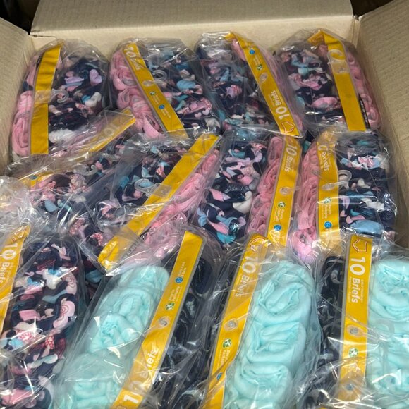 Hanes Girls’ Tagless Briefs – LOT 83 - 240 pcs – 24 packs (10 ea) – Sz 8 - NEW - Picture 2 of 3